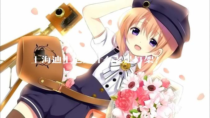 上海迪士尼为什么老是打架？