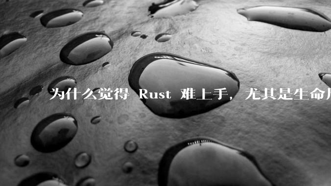 为什么觉得 Rust 难上手，尤其是生命周期？